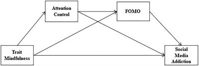 The effect of mindfulness on social media addiction among Chinese college students: A serial mediation model